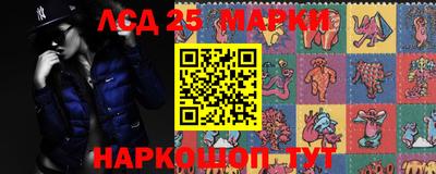 сатива Кингисепп