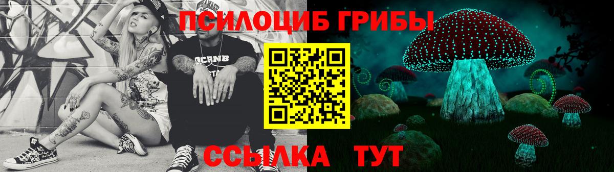 Псилоцибиновые грибы MAGIC MUSHROOMS  Вход с VPN  Йошкар-Ола 